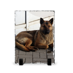 Dog on a stone surface with a white background, Personalization, Photo Gift