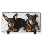 Personalized Photo Slate, Pet Photo, Pet Loss, Two dogs on a decorative stone plaque with a white background